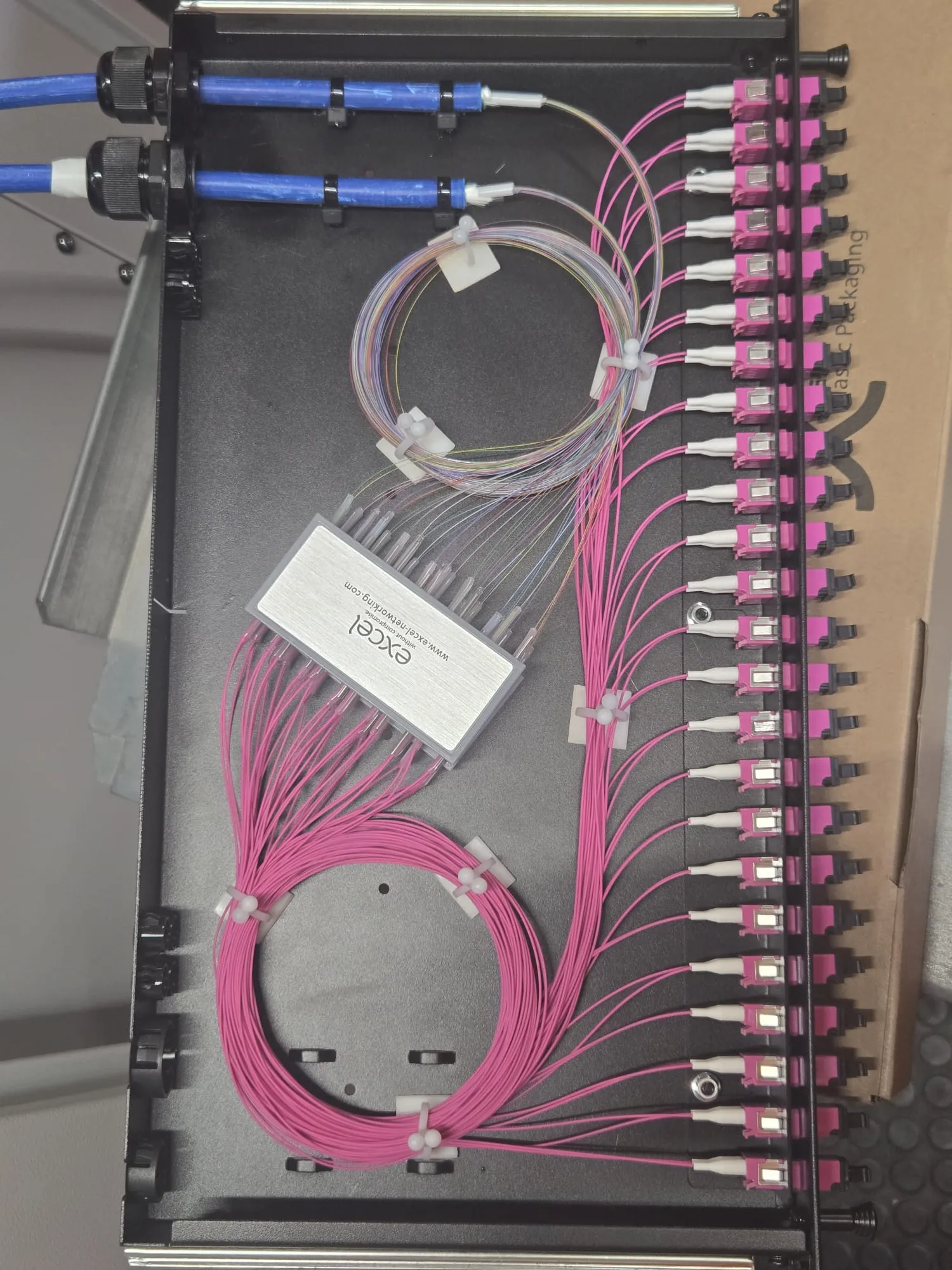 High-density fibre patch panel with organised magenta fibre strands